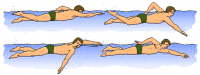 /album/fotogaleria/natacion-respiracion-estilo-libre-png1/